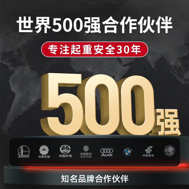防坠器高空安全速差自锁器塔吊货梯10米20m30m60m重型1吨2吨工业,淘宝优惠券,粉丝福利购,淘宝优惠卷