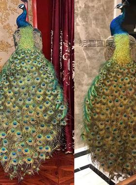 天然蓝孔雀标本 白孔雀羽毛彷真鸟标本 手工艺家居装饰品摆件道具