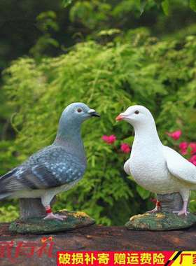 鸽子仿真鸽子物树脂工艺品花园别墅院装饰品鸟类子摆件动意客厅创