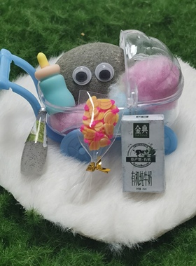 宠物石头养石头宠物小石头可爱伙伴养六一儿童节礼物女孩男孩玩具