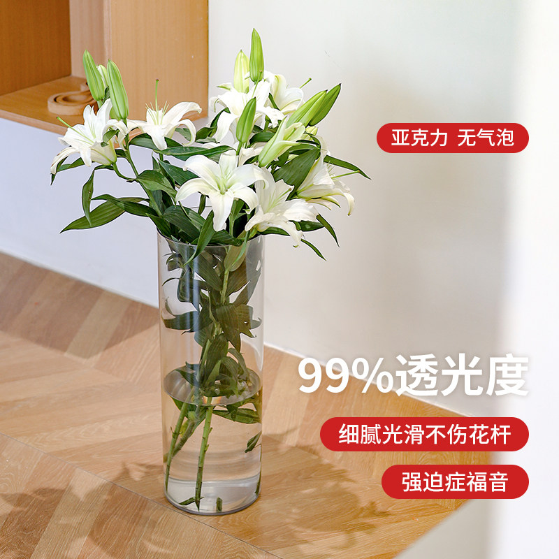 亚克力防摔花瓶摆件客厅插花透明富贵竹水培器皿轻奢高级感醒花桶,淘宝优惠券,粉丝福利购,淘宝优惠卷
