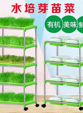 苗苗菜育托盘豆芽芽发芽盆豆苗AL702446种植土栽培设备水培蔬菜芽