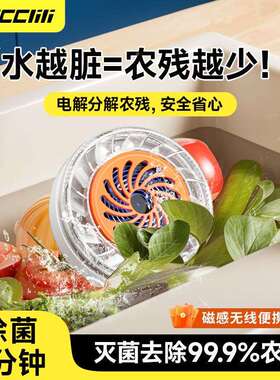 新品自果蔬清清洗机家用食材JJ-GSQXJ机洗净化器多功能果蔬净化全