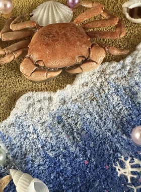 螃蟹贝壳标本相框画 肌理画 3d立体海景文创旅游礼品纪念品伴手礼