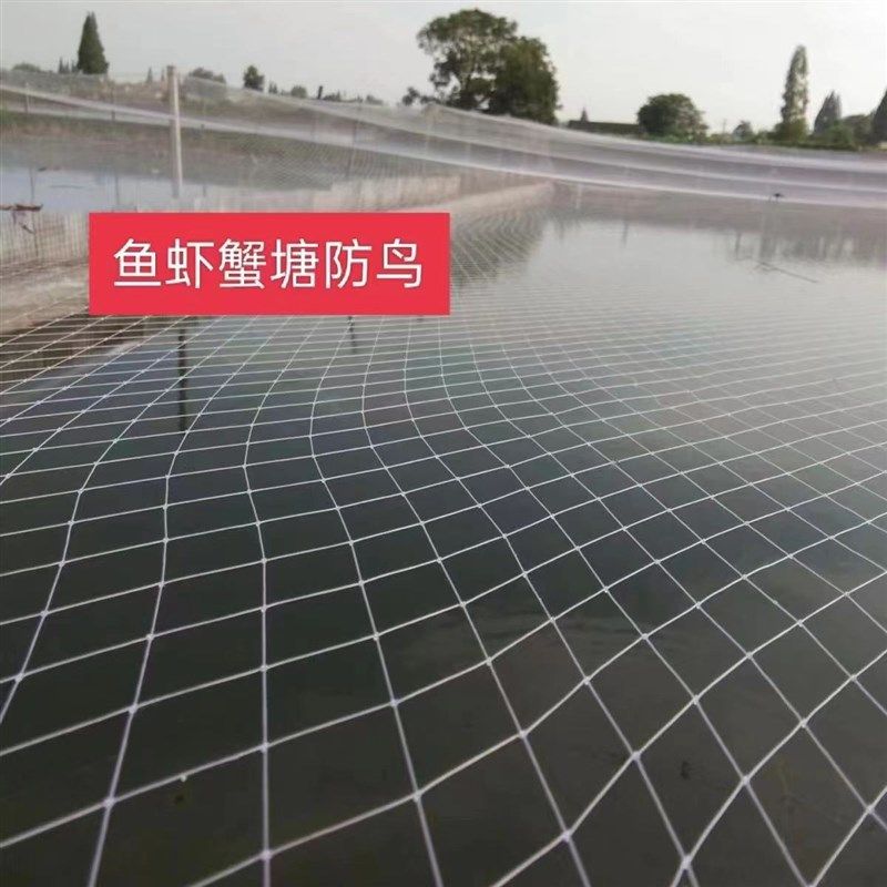 5厘米网眼池塘专用防鸟网大鸟大孔尼龙养殖牛蛙龙虾白鹭鱼塘天网,淘宝优惠券,粉丝福利购,淘宝优惠卷