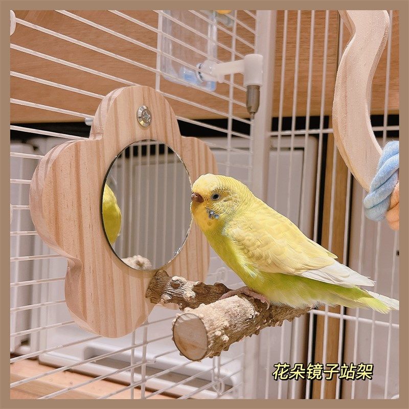 花椒木站架镜子虎皮牡丹玄凤啃咬棒小站台鸟笼站架杆玩具鹦鹉用品,淘宝优惠券,粉丝福利购,淘宝优惠卷