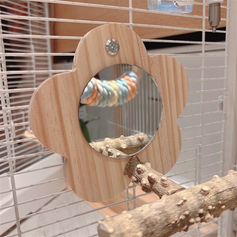 花椒木站架镜子虎皮牡丹玄凤啃咬棒小站台鸟笼站架杆玩具鹦鹉用品,淘宝优惠券,粉丝福利购,淘宝优惠卷