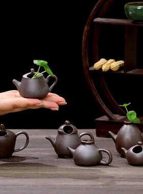 创意迷你陶瓷水养小花器小茶壶个性摆件茶桌个性插花铜钱草装饰品