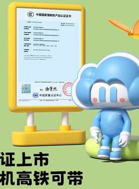Morningsky烧水杯便携式旅行烧水壶迷你恒温热水壶保温电热杯户外