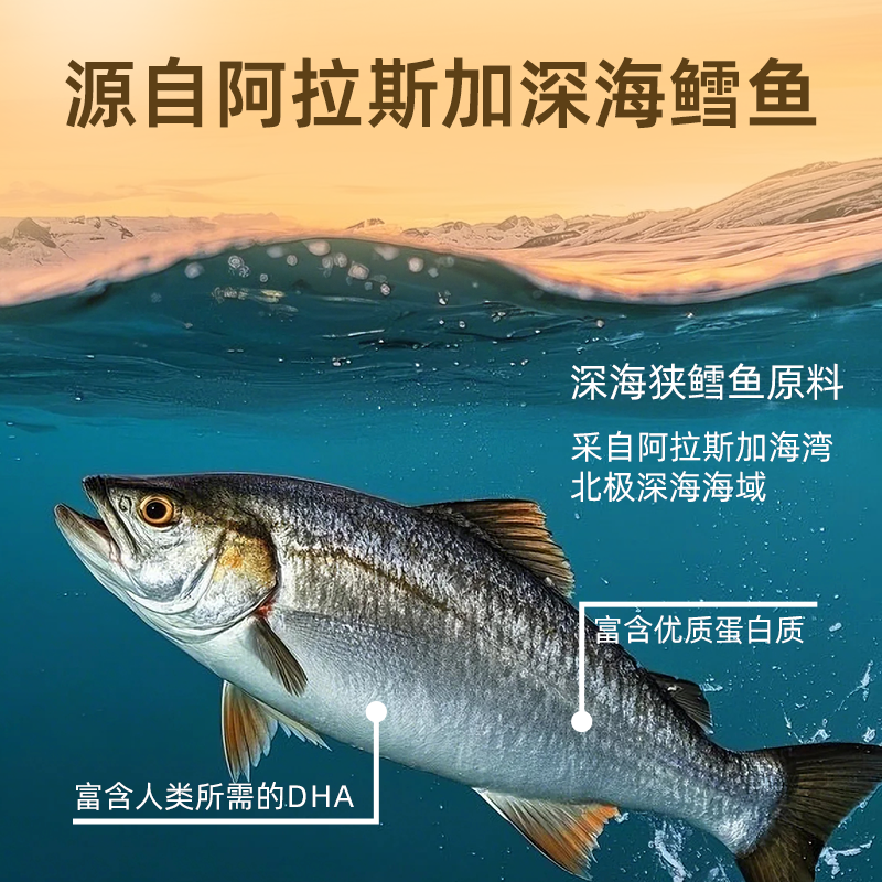 AAZ algae oil DHA soft capsules supplement brain power