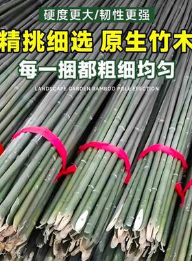 竹竿菜园搭架蔬菜细瓜番茄豆架杆竹黄篱笆栅栏小竹子竹竿青色竹角