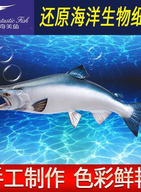 海洋工艺品仿鱼模边型三文雕鱼半室内装饰真玻璃钢swy28塑墙壁挂