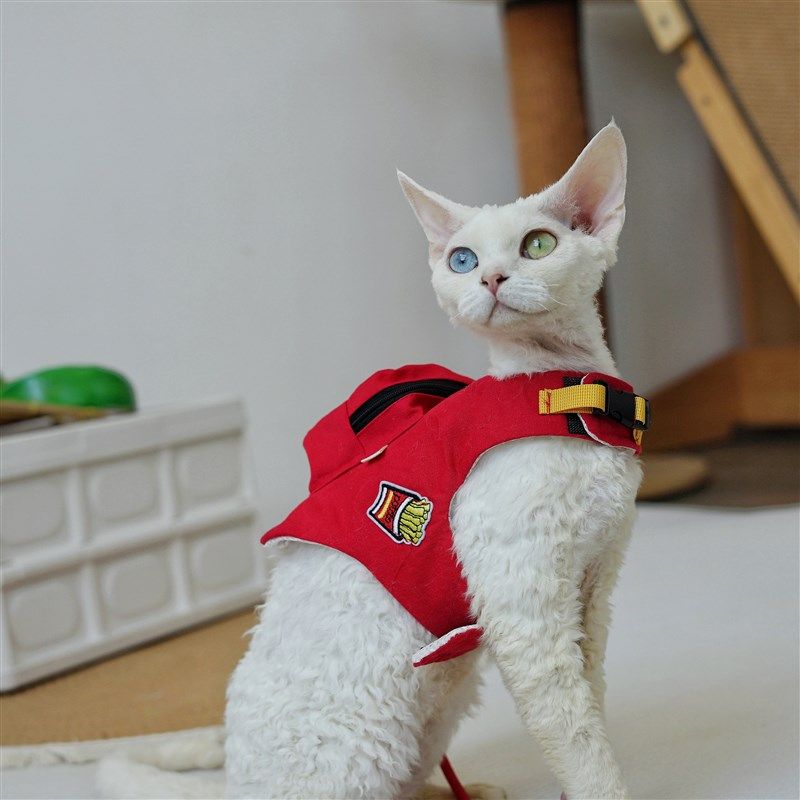 宠物露营户外g遛猫遛狗纯棉帆布背包胸背带牵引绳德文无毛猫书包,淘宝优惠券,粉丝福利购,淘宝优惠卷