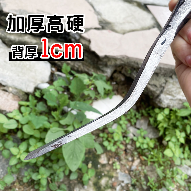 加厚挖蒜铲子刨根蚯蚓园s艺除草种花种菜工具不锈钢户外挖野菜神,淘宝优惠券,粉丝福利购,淘宝优惠卷