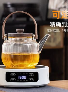 迷你电陶炉煮茶小茶炉小型烧水家用式煮茶炉煮茶器2026新款养生壶