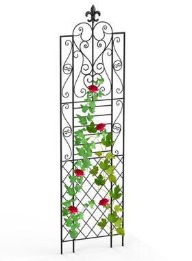 家用铁艺爬藤架攀爬花支架花盆架支线莲铁藤架爬花支RD920922撑篱