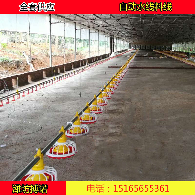 肉鸭种鸭料线 自动养殖喂料机 养鸭上料机 鸭用水线料线养鸡场,淘宝优惠券,粉丝福利购,淘宝优惠卷