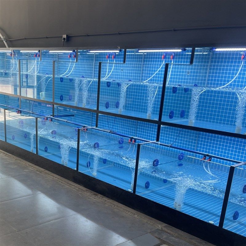 海鲜池商用酒店海鲜缸超市贝类池餐厅海鲜鱼缸移动虾蟹缸大闸蟹缸,淘宝优惠券,粉丝福利购,淘宝优惠卷