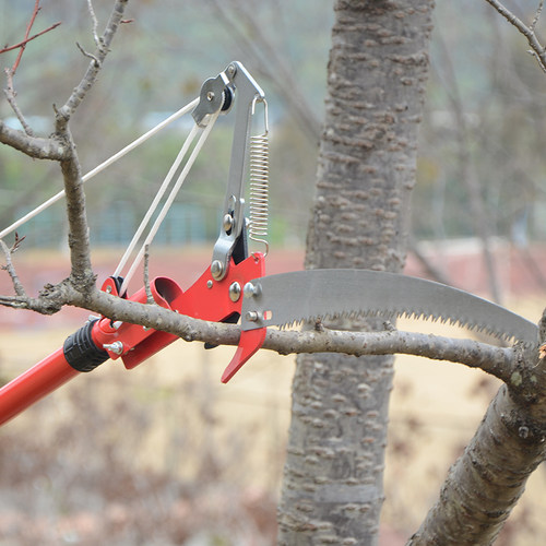 高枝剪高枝锯伸缩高空修枝剪剪树枝E修剪刀多功能园林果树剪刀工 - 图2