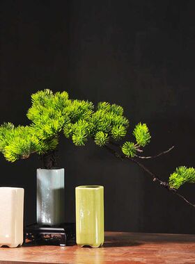 仿真迎客松盆景摆件罗汉松假树绿植崖柏树小盆栽中式酒店桌面造景