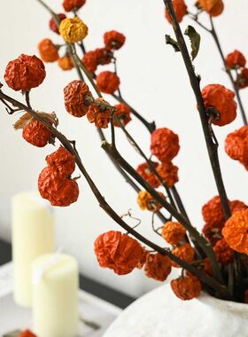 红色小南瓜干花花束植物干果装饰喜庆花材插花干树枝天然风干真花