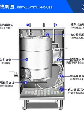 本威220V脉冲点火器控制器商用蒸汽发生器配件锅炉24V伏电脑主板