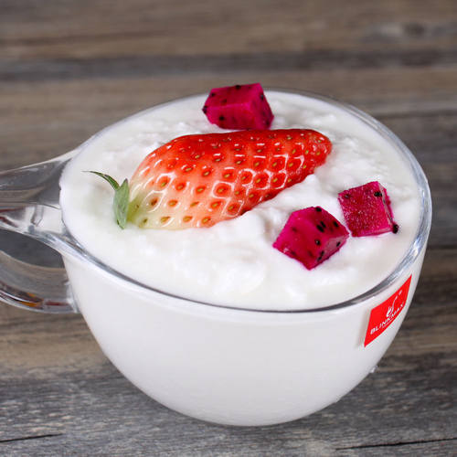 内蒙古牛尔无蔗糖原味益生菌纯酸奶1000克健身代餐低温 - 图2