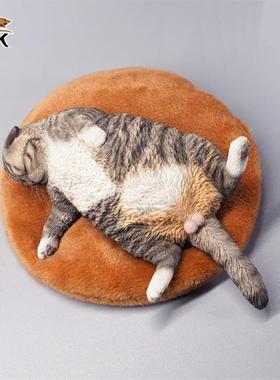 JXK官方正品1/6嗜睡猫仿真模型治愈系猫咪小摆件桌面装饰送礼收藏