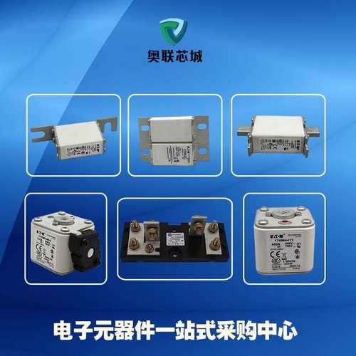 170M5008 170M5009 170M5010 170M5011 170M5012 170M5013熔断器 - 图3