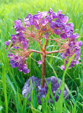 鸷山寺紫水晶紫晶簇原石晶洞紫晶树玄关写字台床头家居装饰品摆件