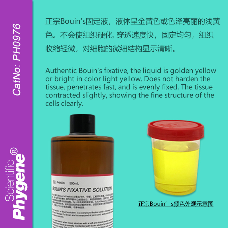 Bouin's固定液 波恩氏液 组织固定液 可 [PH0976 PHYGENE] - 图0