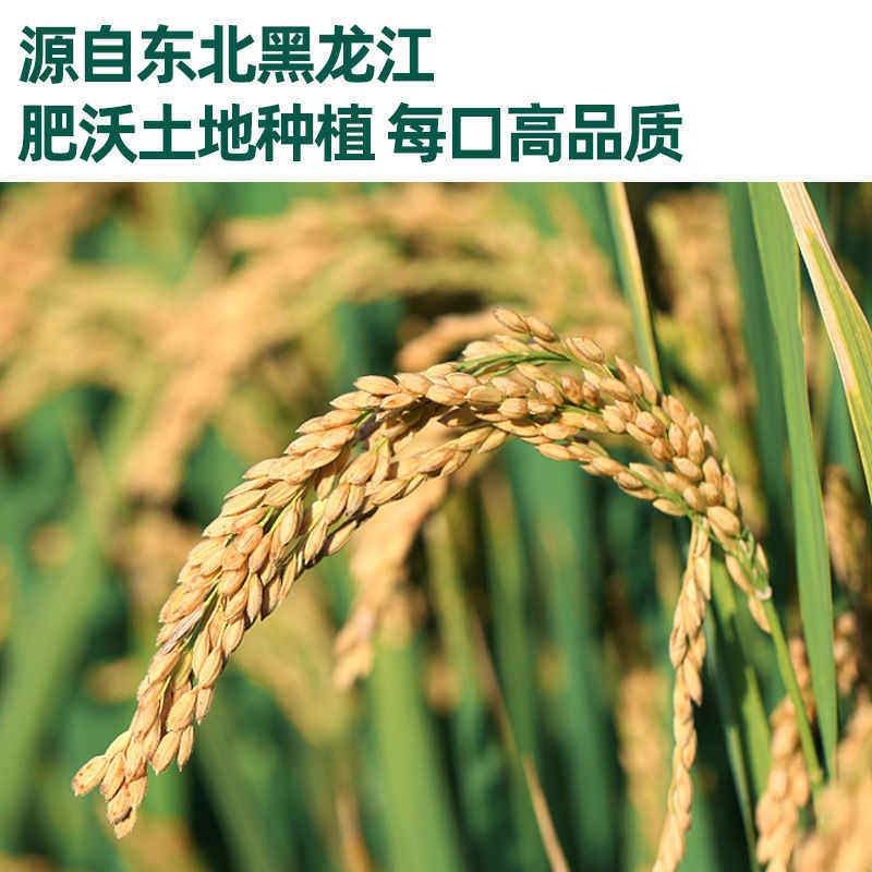 英氏婴幼儿钙奶h谷物棒酥脆棒黑米棒糙米棒即食宝宝饼干非油炸零,淘宝优惠券,粉丝福利购,淘宝优惠卷