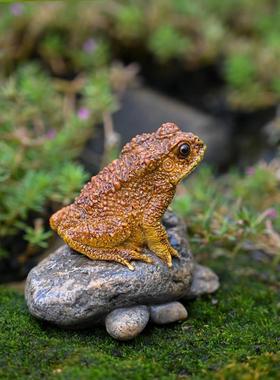 微景观招财金蟾摆件客厅桌面仿真蟾蜍盆栽假山流水配件造景装饰品