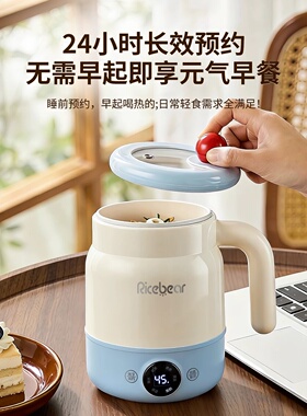 德国炖煮一体恒温烧水壶保温一人