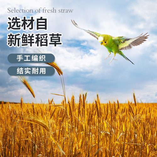 宠尚天鹦鹉草窝虎皮玄凤鸟窝鸟巢草编牡丹笼配件繁殖箱用品用具 - 图1