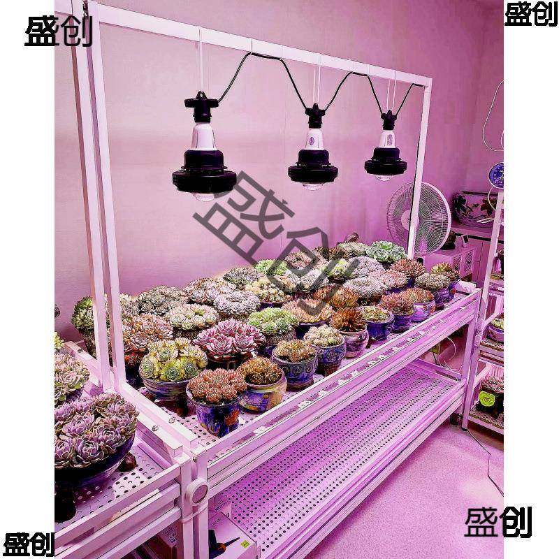 花架多层水日落地台排37241风扇补光灯养多肉阳浇式块根植物不锈,淘宝优惠券,粉丝福利购,淘宝优惠卷