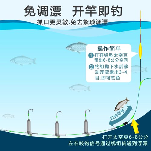 反离底串钩子线成品钩欧鲤反底钓组免调漂抗走水伊势尼鱼钩 5付装 - 图1