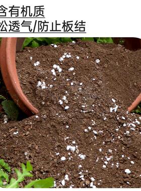 营养土家用养花种菜专用土多肉盆栽通用型种植土园艺土壤花土肥料