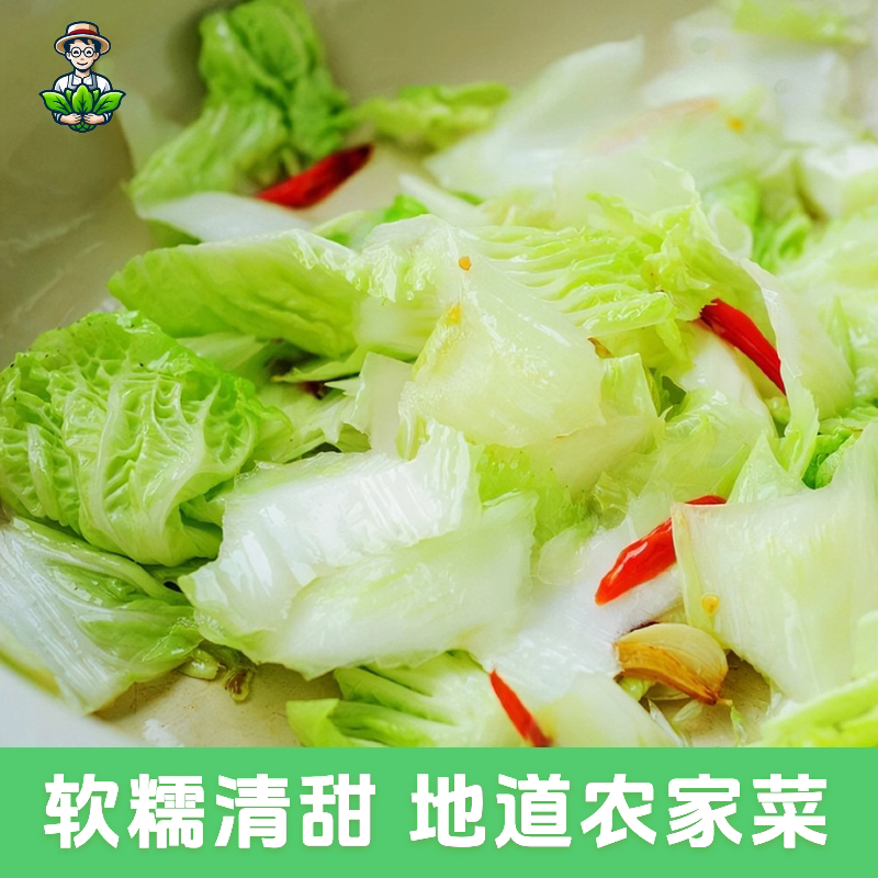 顺丰包邮 云南高山麻叶青白菜新鲜蔬菜天津绿绍菜高杆龙牙青口白