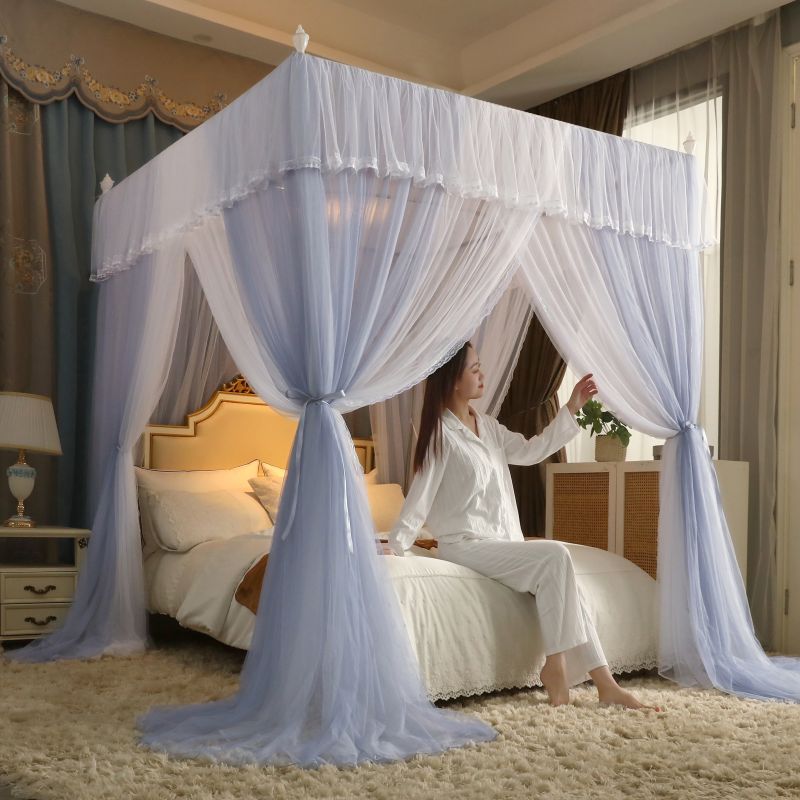 新款双层纱落地宫廷蚊帐三门家用卧室加密2m床幔加厚不锈钢支架 - 图0