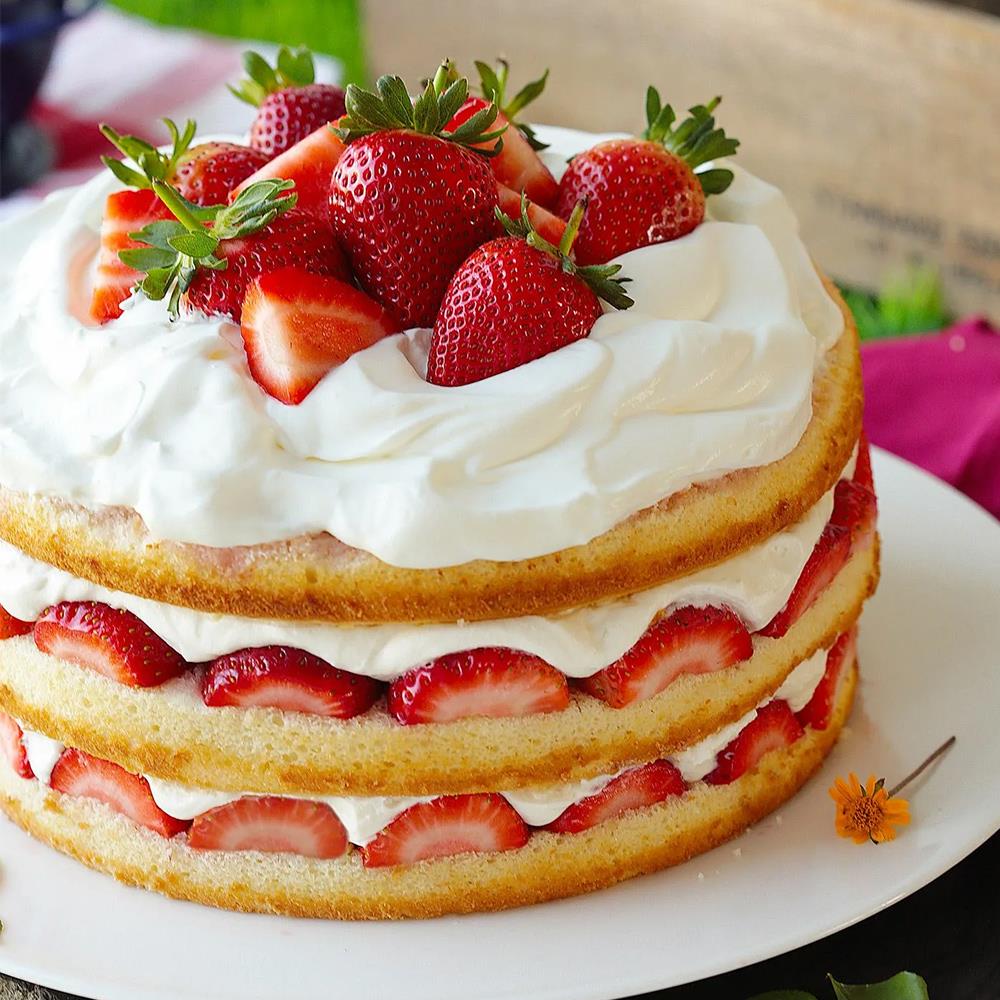 蔻曼38%纯净稀奶油1L*12盒蛋糕裱花动物奶油甜品用烘焙寇曼淡奶油 - 图0