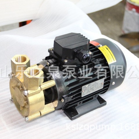 LQ-30系列小型耐高温热油旋涡泵导热油管道增压系统用涡流泵 - 图2