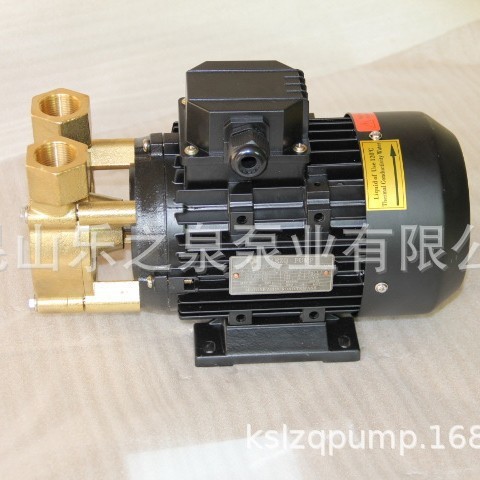 LQ-30系列小型耐高温热油旋涡泵导热油管道增压系统用涡流泵 - 图0