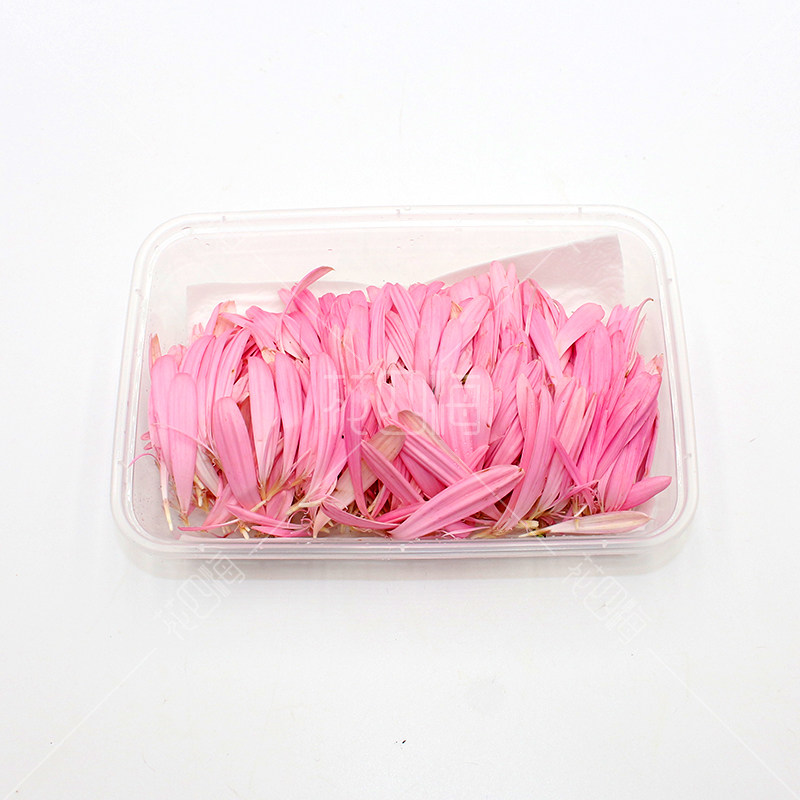 新鲜粉色太阳花花瓣100片扶郎花菊花瓣 酒店冷菜西餐摆盘装饰鲜花