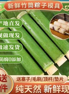 竹筒粽子模具天然新鲜家用商用竹桶饭糯米饭制作摆摊专用神器