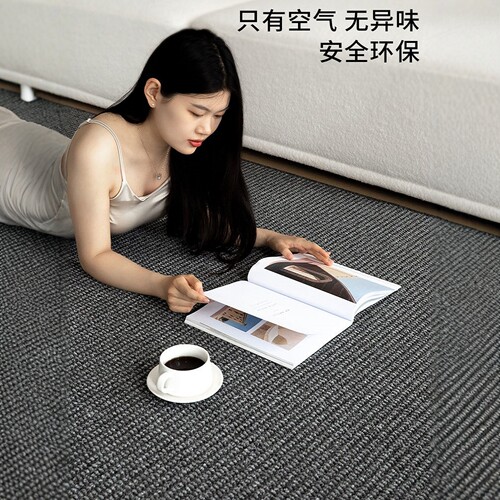 客厅地毯2025新款卧室床边毯免打理极简风黑色轻奢高级剑麻纹地垫 - 图1
