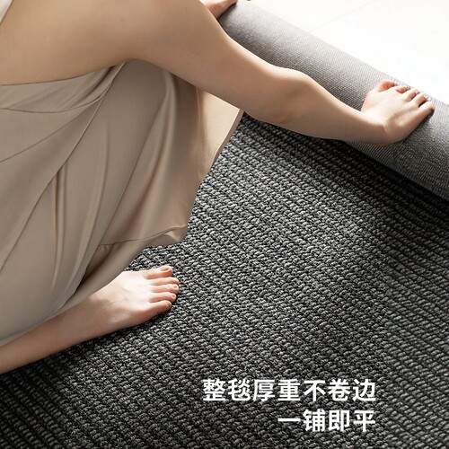 客厅地毯2025新款卧室床边毯免打理极简风黑色轻奢高级剑麻纹地垫 - 图2