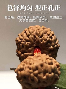 极速天然飞碟e小金刚菩提子108颗78910瓣原籽长串男士情侣散珠手