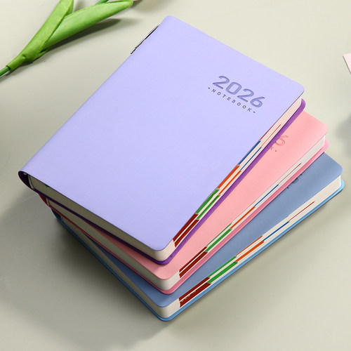 2026年日程本新款每日计划本一日一页工作日历记事本效率手册a5私人简约商务自律打卡时间管理手帐笔记本定制 - 图3