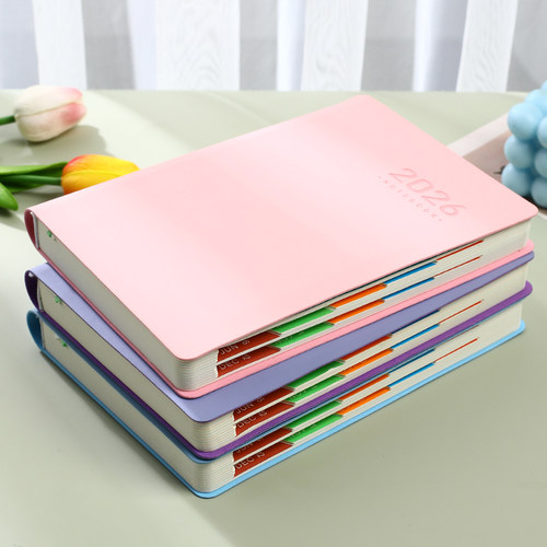 2026年日程本新款每日计划本一日一页工作日历记事本效率手册a5私人简约商务自律打卡时间管理手帐笔记本定制 - 图1